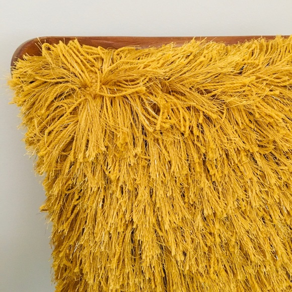 Meet your Posher, Miss P - Picture 3 of 3